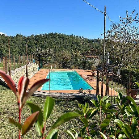 Casa Zeli Villa Castel San Niccolo Екстериор снимка